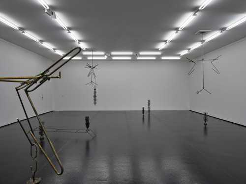 New Heads: Jacopo Belloni