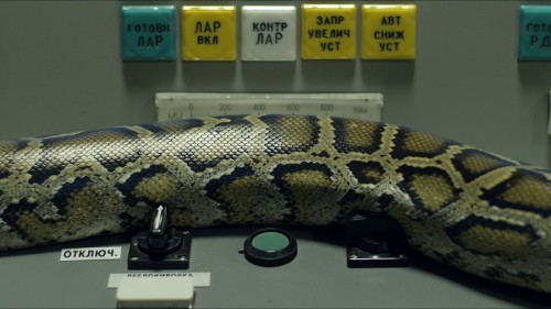 Emilija Škarnulytė