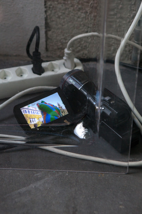 Jan Hofer "Aide à la diffussion" & Bernhard Hegglin "Screen and Dream"