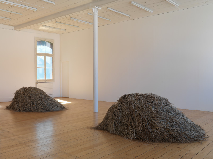 Installation view, Georgia Sagri, Case_L, Kunsthalle Friart Fribourg, 2022, Photo Stathis Mamalakis ©Georgia Sagri