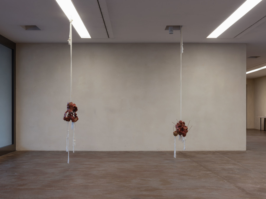 Exhibition view, Cantonale Berne Jura 2021, Kunsthaus Pasquart. Fotos : Thalles Piaget