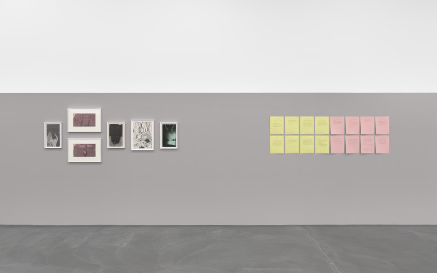 Pati Hill, page from/Seite von Versailles Rose Garden Déchet and Alternatives, ca. 1997, courtesy Pati Hill Collection, Arcadia University