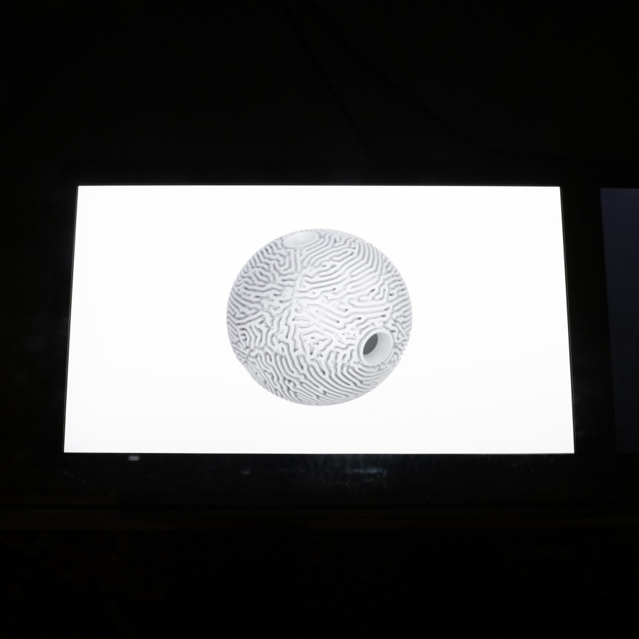 Thomas Julier, Dawn Chorus Protocol, Lemme, Sion, Switzerland, Curator: Josiane Imhasly, Photo credit: Romain Iannone