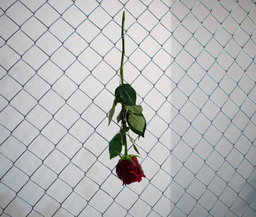 Exhibition view, David Weishaar, The Rose is without ‘Why’, KALI Gallery, 2022. Photo credit @vogeleye and @KALI Gallery Lucerne