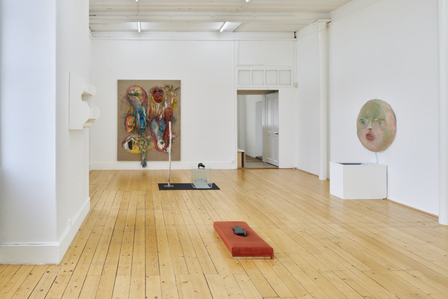 Exhibition view, La main–pleur, 2022, Kunsthalle Friart Fribourg. Photo : Guillaume Python