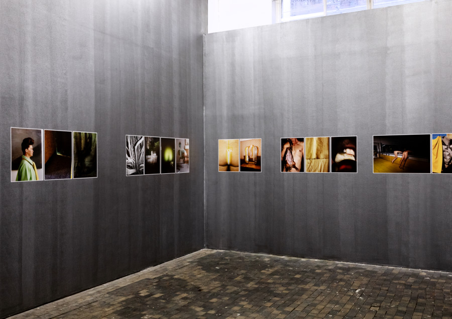 Installation view, Anne Morgenstern, Indocile and Tender, Centre de la photographie Genève, 2022. Image: Anne Morgenstern