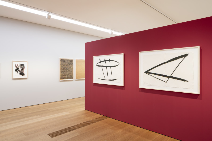 Exhibition view, Naissance et vie des formes, Dessins contemporains de la collection, MCBA Lausanne, 2022.