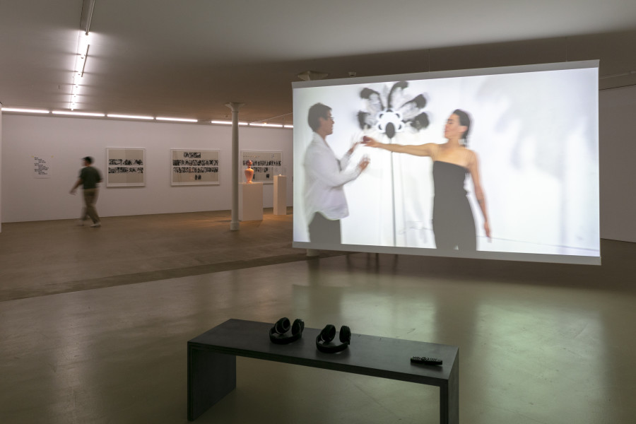 Salomania, Pauline Boudry und Renate Lorenz, 2009, HD Video, 17 min, Farbe, Ton. Photo Credit: Julian Salinas