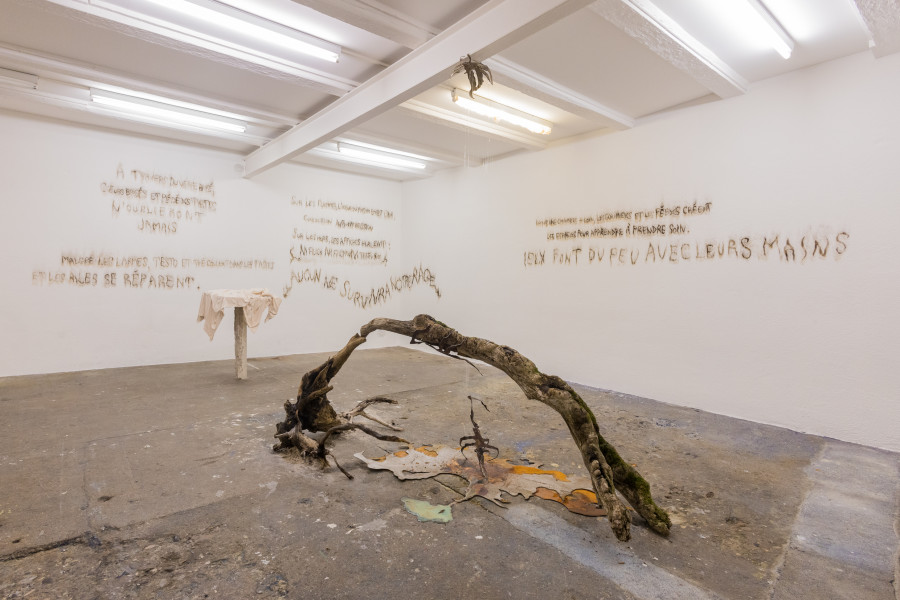 Exhibition view « Fusionner nos Ardeurxes » at WallStreet, Fribourg, 2022 / Photo: Julie Folly / Courtesy: the artist and WallStreet