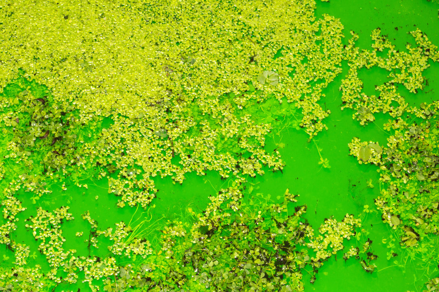 Installation view: Fondation Beyeler, Riehen/Basel, 2021 Courtesy of the artist; neugerriemschneider, Berlin; Tanya Bonakdar Gallery, New York / Los Angeles © 2021 Olafur Eliasson  Photo:Pati Grabowicz