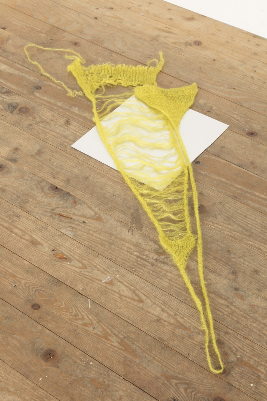 Exhibition view, Luca Büchler – a fantasy, a desire, sic! Elephanthouse, 2022. Photo credit: Andri Stadler