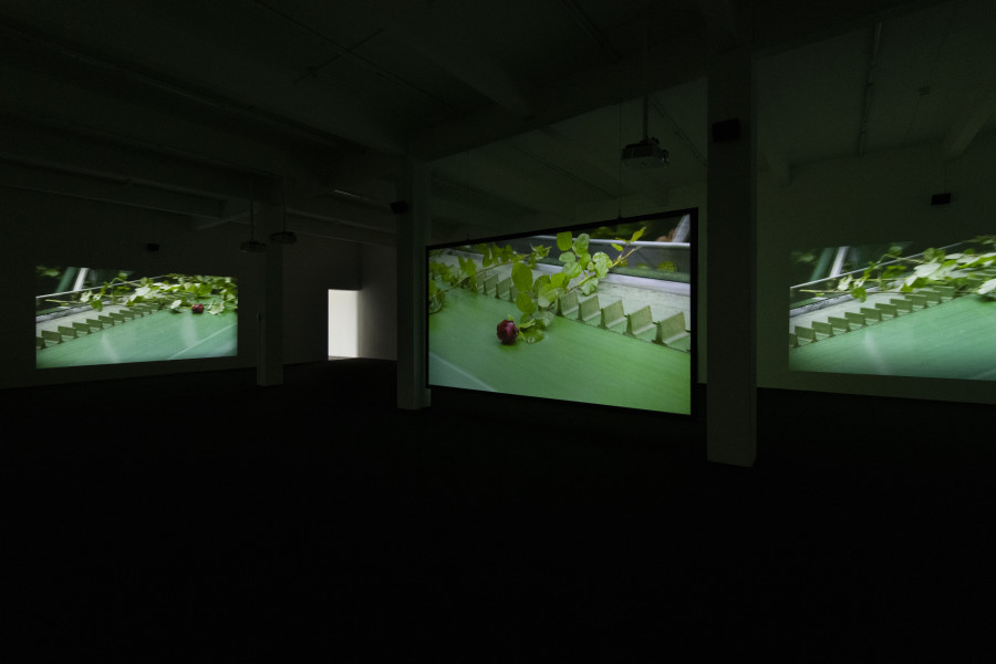 Éric Baudelaire, This Flower in My Mouth, 2021. Courtesy: the artist. Photo: Kunst Halle Sankt Gallen, Sebastian Schaub.