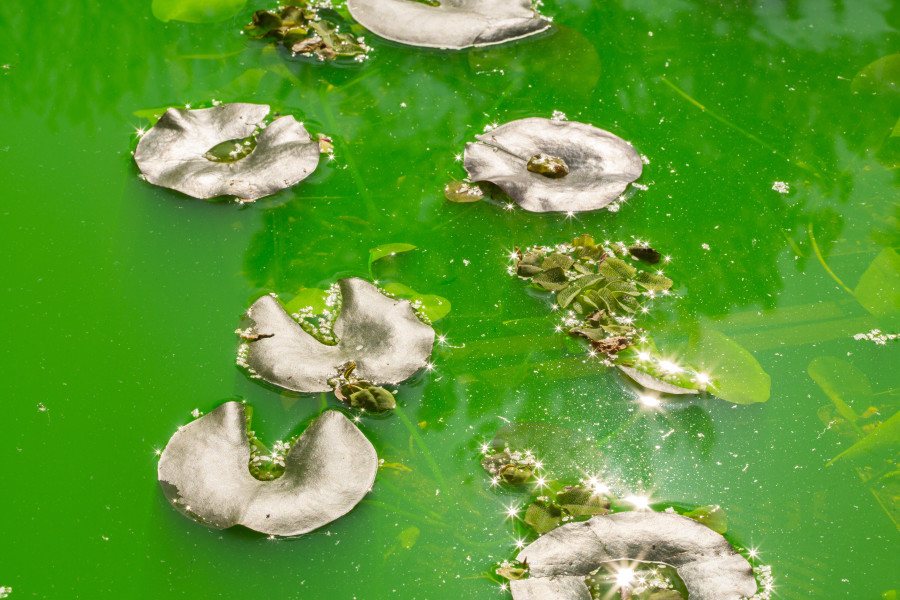 Installation view: Fondation Beyeler, Riehen/Basel, 2021 Courtesy of the artist; neugerriemschneider, Berlin; Tanya Bonakdar Gallery, New York / Los Angeles © 2021 Olafur Eliasson  Photo:Pati Grabowicz