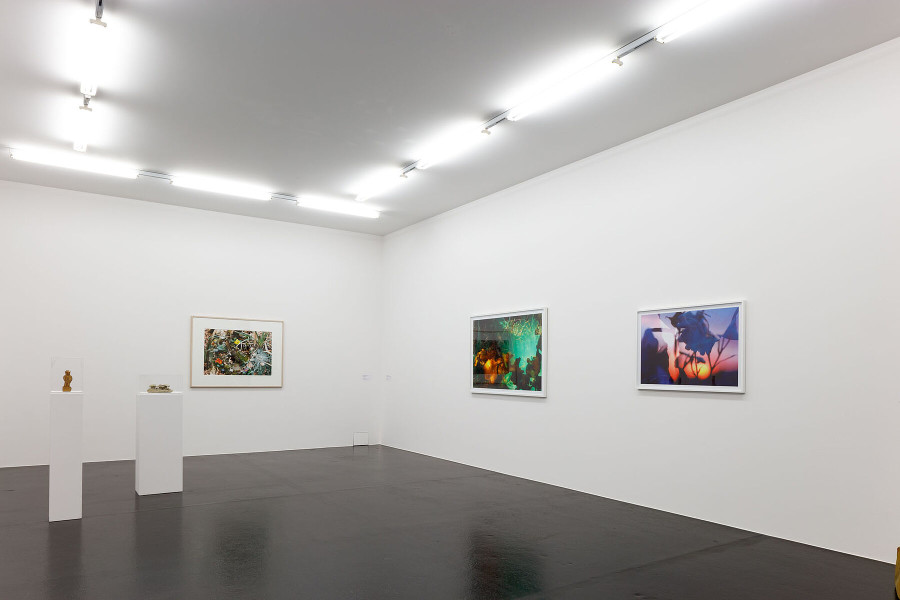 Installationsansicht Zeitgeschichten. Zeitgenössische Werke aus der Sammlung, 9.8. – 13.11.2022, Aargauer Kunsthaus, Aarau. Peter Fischli (*1952) & David Weiss (1946–2012), Der Erfinder des Kaugummis, 1981, Einheimischer Waldboden, 1981, Tonobjekte, diverse Masse, Aargauer Kunsthaus Aarau / Depositum der Sammlung Andreas Züst. Waldboden, 1989, Ohne Titel (Funghi 06), 2006, Ohne Titel (Blumen 1/092), 2006, Aargauer Kunsthaus, Aarau / Schenkung Sammlung Ellen + Michael Ringier, Schweiz. Foto: Philipp Hitz, Zürich