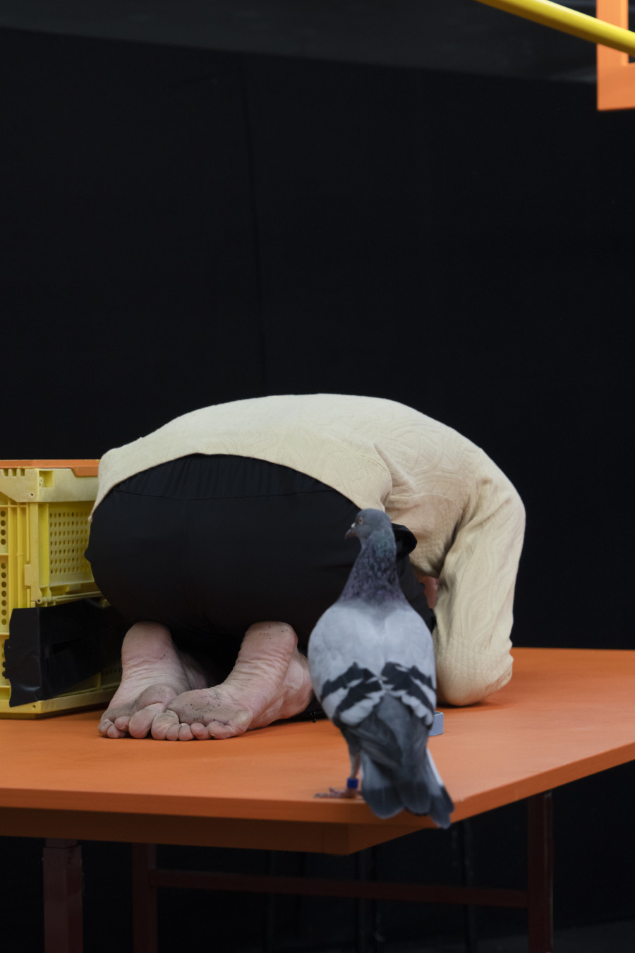 Seraina Dür & Jonas Gillmann, Theater als Agilitypark, 2020 (Foto: Anne Linke)