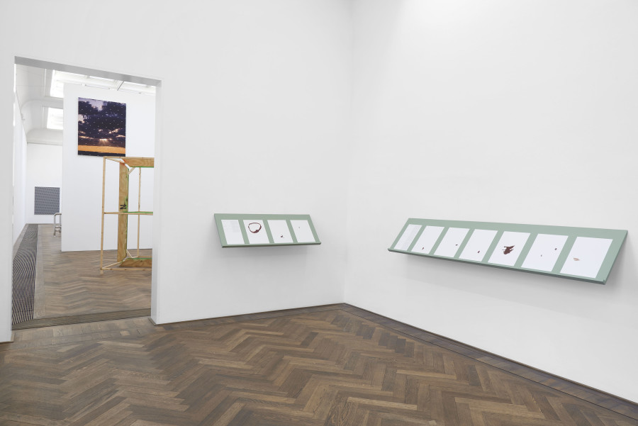 Installation view, INFORMATION (Today), Kunsthalle Basel, 2021, view on Lawrence Abu Hamdan, For the Otherwise Accounted, 2020 (front). Photo: Philipp Hänger / Kunsthalle Basel