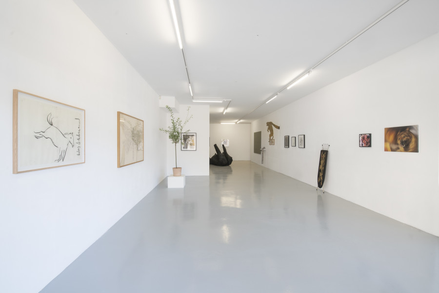 Installation view, INTO THE WILD, Wilde, 2022. Photo: Grég Clement