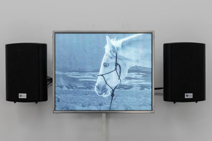 Dominic Michel, Amorous organ of repetition, 2021, HD-Video auf Screen, Lautsprecher, Stereo, s/w, 28'07'' (Loop). Courtesy Dominic Michel. Foto: ullmann.photography