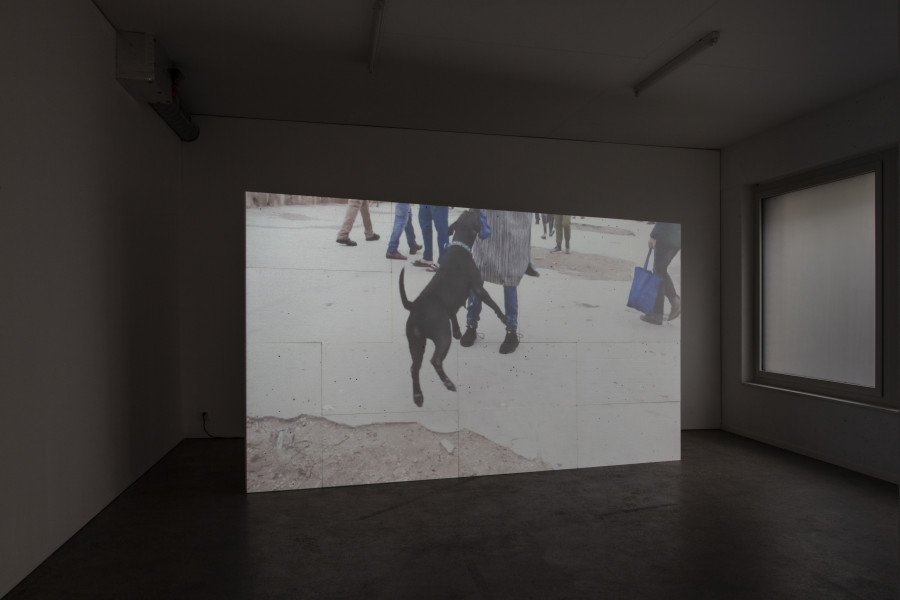 Exhibition view, d.e.d. world, 2022, HD video, color, sound, 16 secs (loop), projection on 14 Styrofoam panels, 2 x 3.5m, buttermilk on windows. Espace 3353, 2022. All credits to ©Anastasia Mityukova