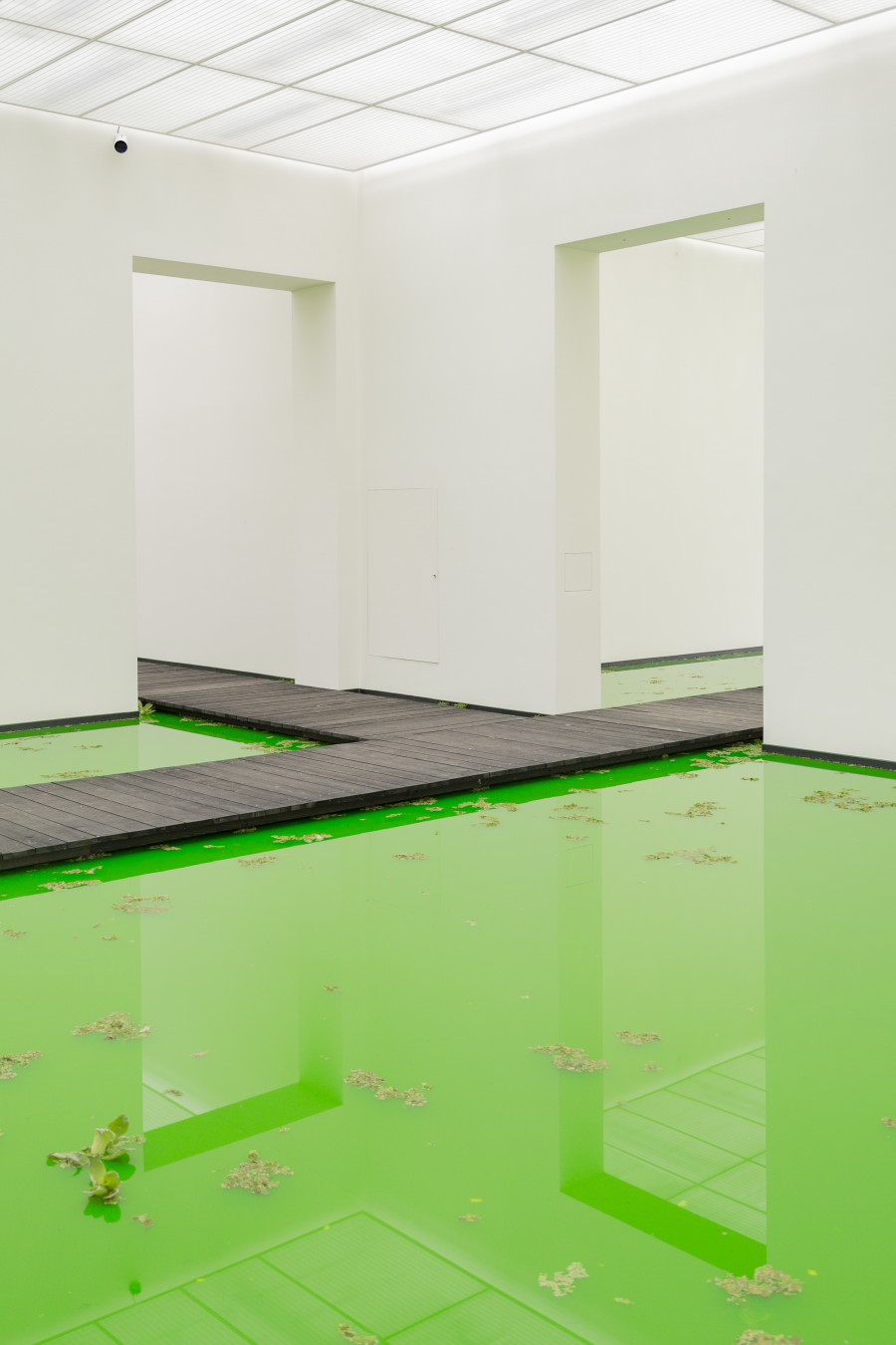 Installation view: Fondation Beyeler, Riehen/Basel, 2021 Courtesy of the artist; neugerriemschneider, Berlin; Tanya Bonakdar Gallery, New York / Los Angeles © 2021 Olafur Eliasson  Photo:Pati Grabowicz