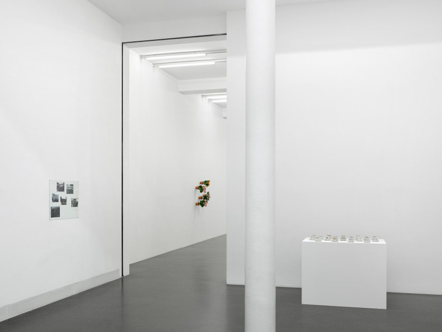 Installation view, Hans-Peter Feldmann, Galerie Francesca Pia, 2021. Photo: Annik Wetter