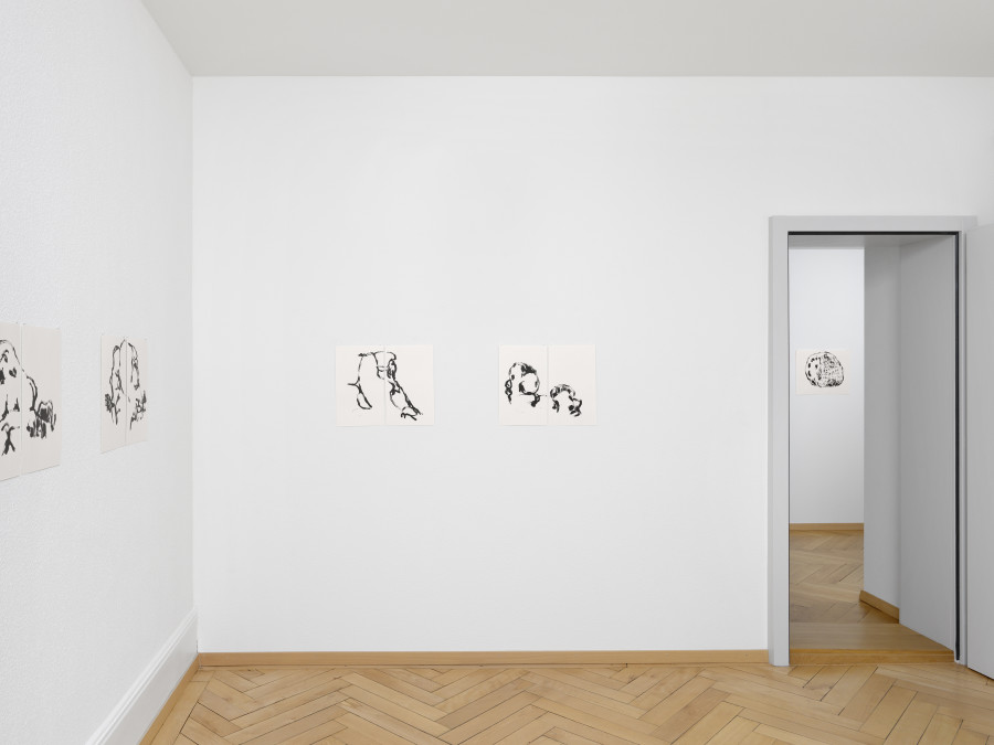 Michael Günzburger: Hidden Valley, Exhibition view, 2023, BELETAGE Art Space, Photo: Annik Wetter.