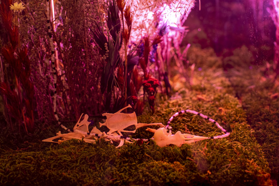 Exhibition view, Alexandre Joly, Double Rainbow, Wilde, 2022. Photo: Greg Clement