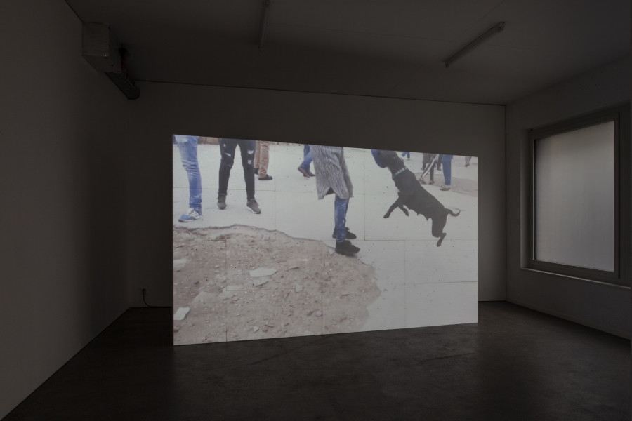 Exhibition view, d.e.d. world, 2022, HD video, color, sound, 16 secs (loop), projection on 14 Styrofoam panels, 2 x 3.5m, buttermilk on windows. Espace 3353, 2022. All credits to ©Anastasia Mityukova