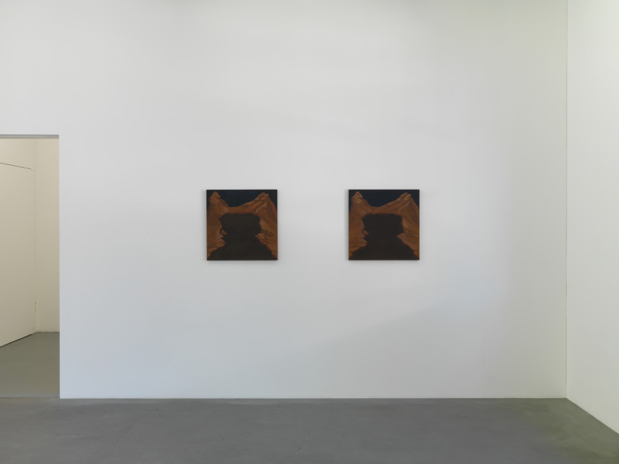 Installation view, Georgia Sagri, Case_L, Kunsthalle Friart Fribourg, 2022, Photo Stathis Mamalakis ©Georgia Sagri