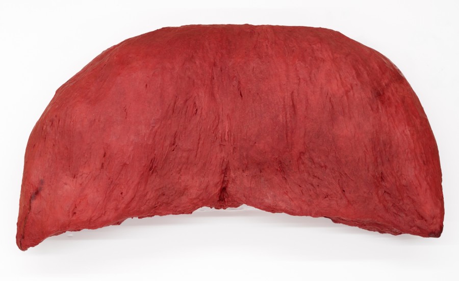 Nietzsches Schnauz, Not Vital, 2017, Wachs, HxBxT: 70 x 140 x 40 cm, Inv. G 2017.6,  Creditline: Kunstmuseum Basel- Ankauf mit Mitteln der Karl und Margrith Schaub-Tschudin-Stiftung, Photo Credit: Kunstmuseum Basel Martin P. Bühler