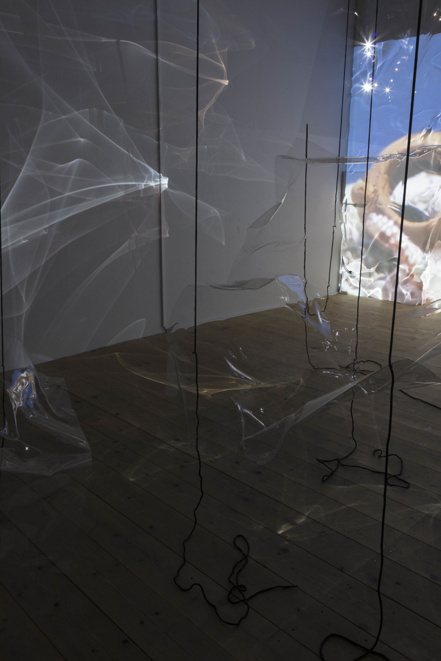 Exhibition view, Riikka Tauriainen – Intimacy of Strangers, sic! Elephanthouse, 2020-2021. Photo credit: Andri Stadler