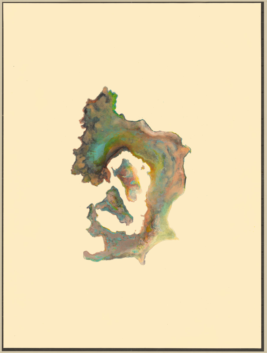 Anri Sala, Untitled (Gymnomuraena zebra/Italy), 2019, Two works on paper: One historical manuscript page with hand-coloured copper plate engraving, one ink drawing, 22,8 x 13,3 cm; 31,4 x 23,5 cm (unframed), 35,8 x 26,3 cm; 44,4 x 36,5 cm (framed), Courtesy of the artist © Anri Sala