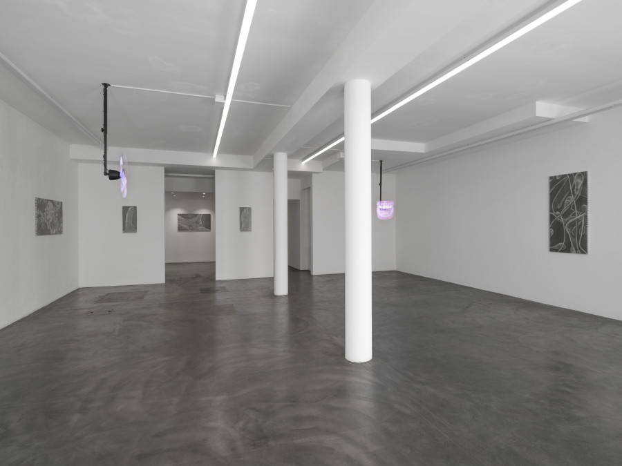 Exhibition view, Juan Antonio Olivares, SELF-PORTRAIT, Galerie Maria Bernheim, 2022.