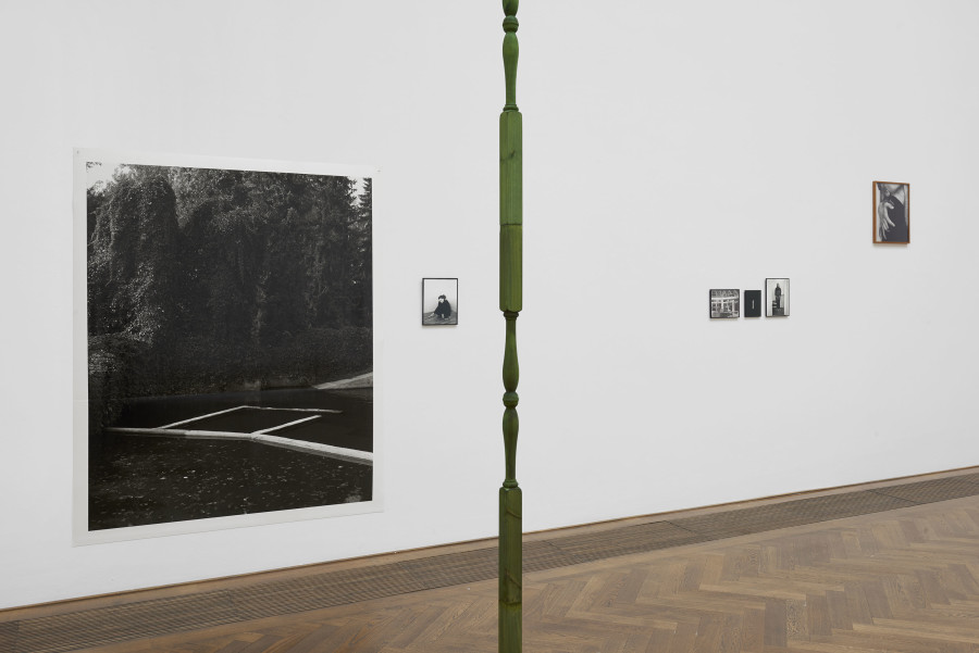 Joanna Piotrowska, installation view, Stable Vices, Kunsthalle Basel, 2019. Photo: Philipp Hänger / Kunsthalle Basel