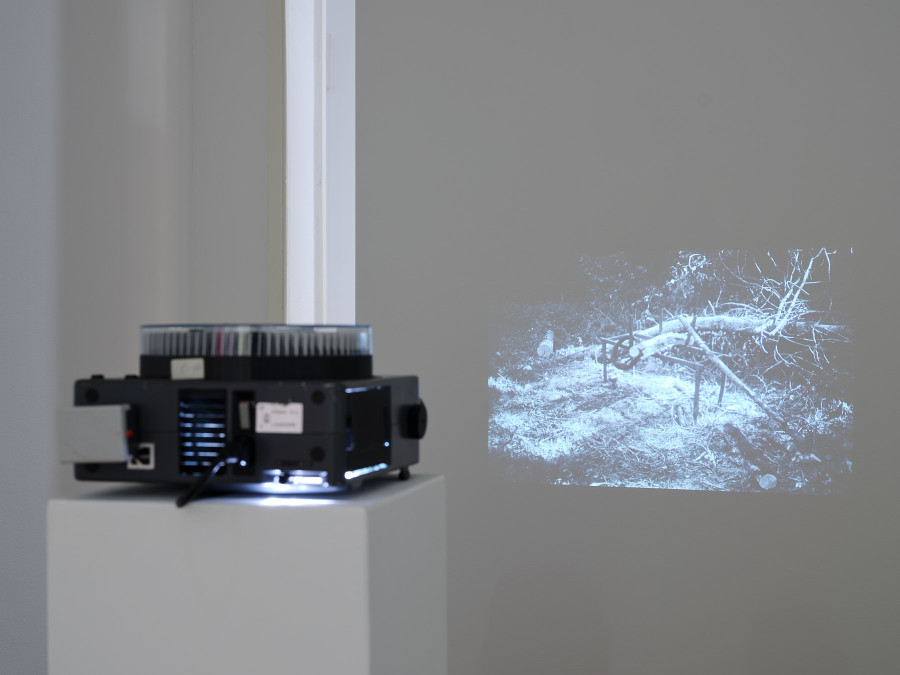 Exhibition view, Cantonale Berne Jura 2022, Kunstmuseum Thun, 2022-2023. Photo credit: David Aebi