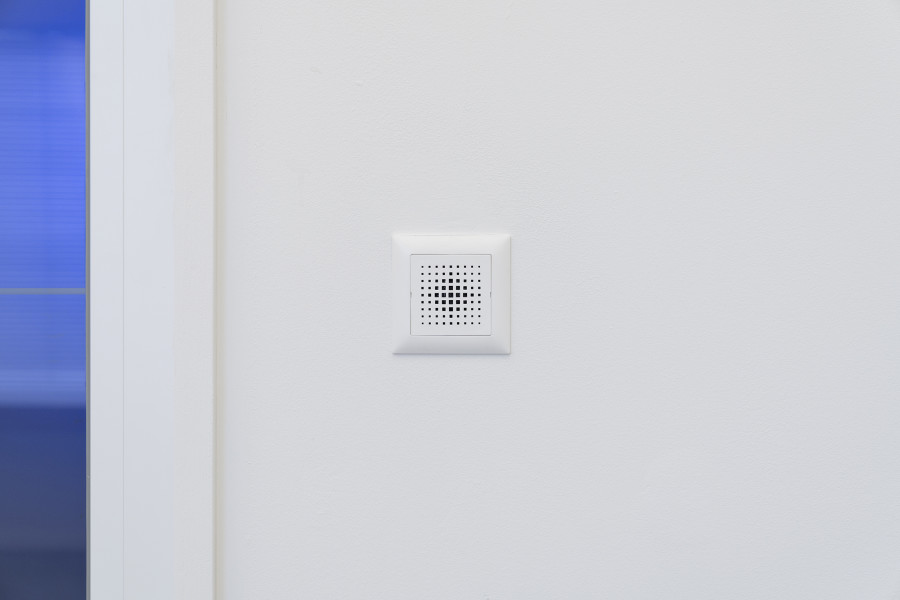 Photo credit : courtesy of the artist and Sentiment