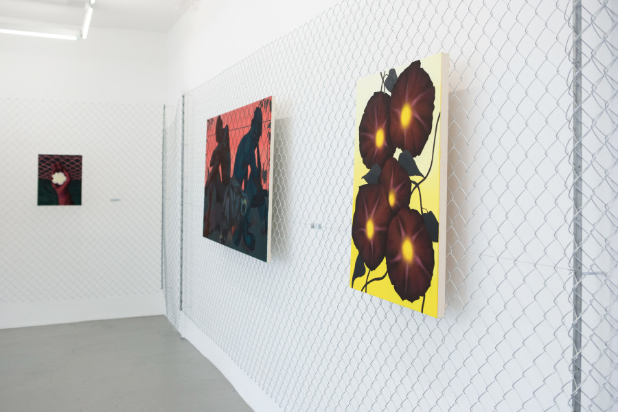 Exhibition view, David Weishaar, The Rose is without ‘Why’, KALI Gallery, 2022. Photo credit @vogeleye and @KALI Gallery Lucerne