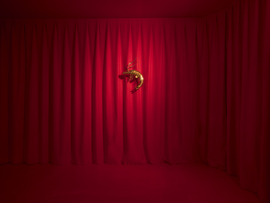 Caroline Mesquita, Noctambules, Installation view, 2022, CAN Centre d’Art Neuchâtel, Photo: S. Verdon