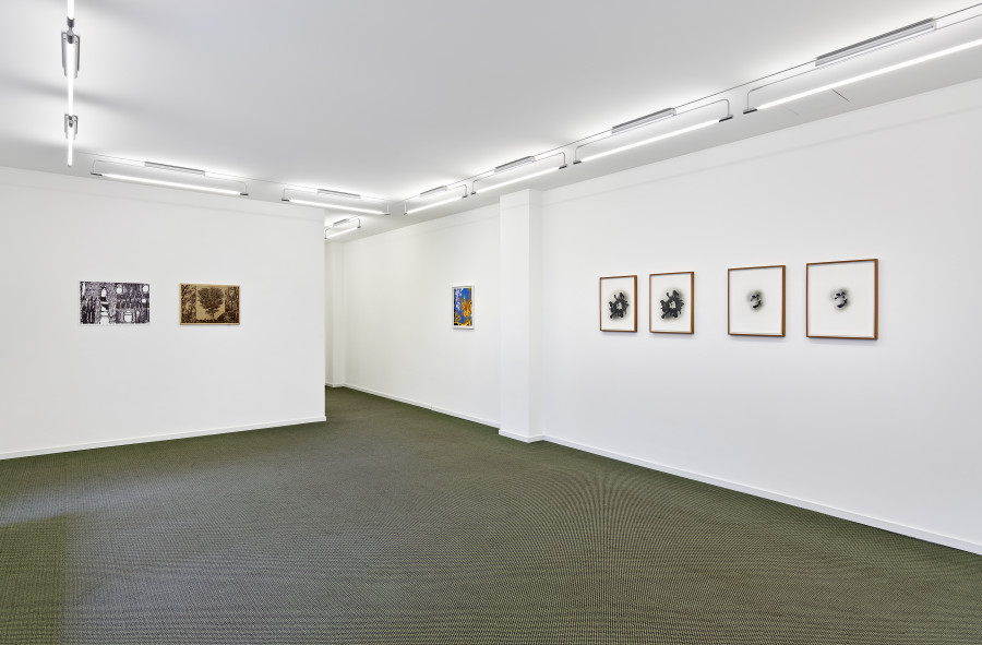 Exhibition view, Rebuilding Connections, Edition VFO, 2022.