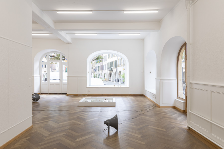 RADICAL SOURCES, Claire Fontaine, Dorota Gawęda & Eglė Kulbokaitė, Laurent Güdel, Jeanne Jacob, Hunter Longe, Lou Masduraud, Sadie Plant, Augustin Rebetez, Jan van Oordt, et un texte de Antoine Rubin, KRONE COURONNE, 2022, photocredit: Michal Florence Schorro