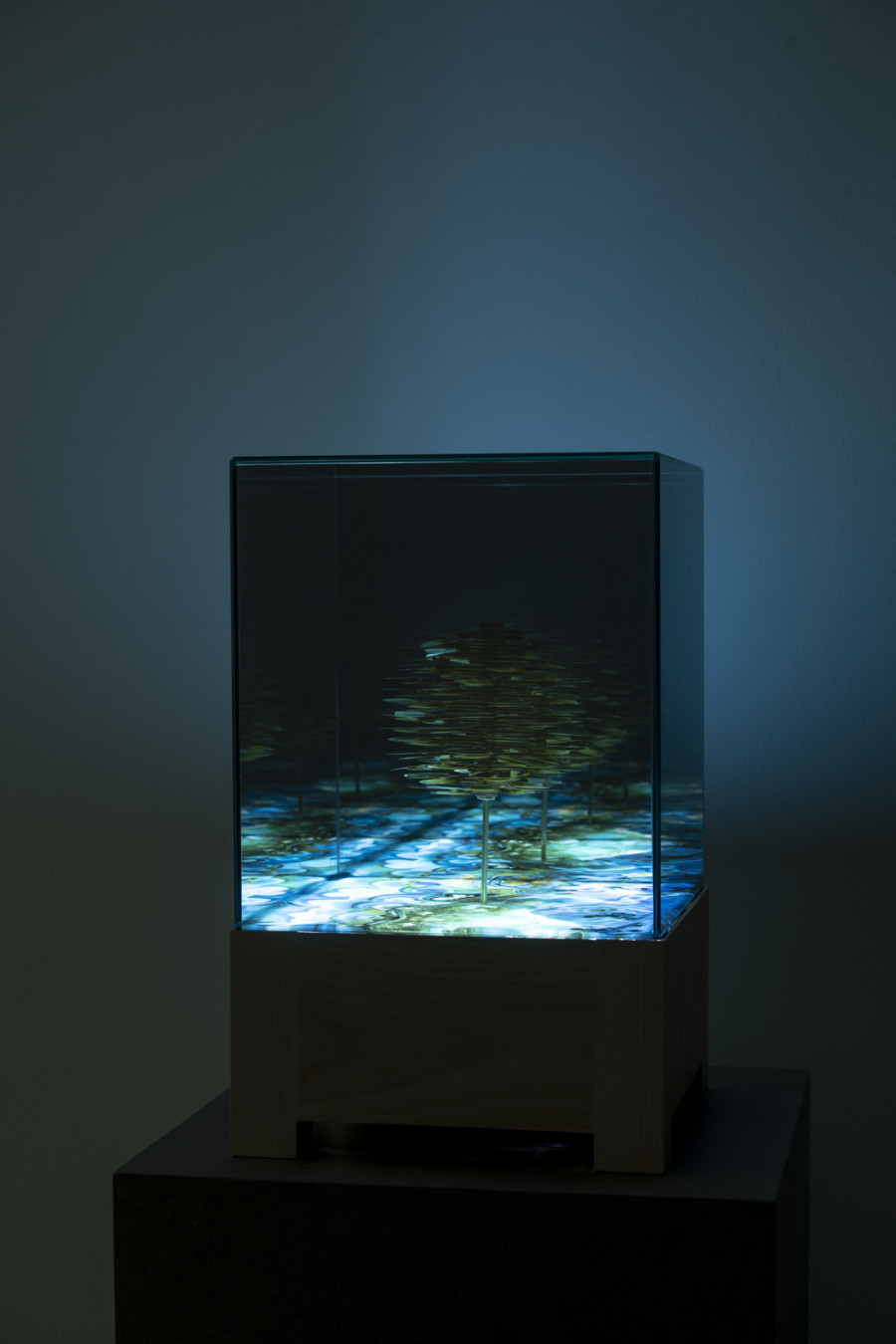 Exhibition view, Alexandre Joly, Double Rainbow, Wilde, 2022. Photo: Greg Clement