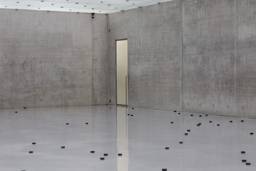 Dora Budor, Pucks (bagarreurs), 2021, Installation view Continent, second floor Kunsthaus Bregenz, 2022. Photo: Markus Tretter. Courtesy of the artist. © Dora Budor, Kunsthaus Bregenz