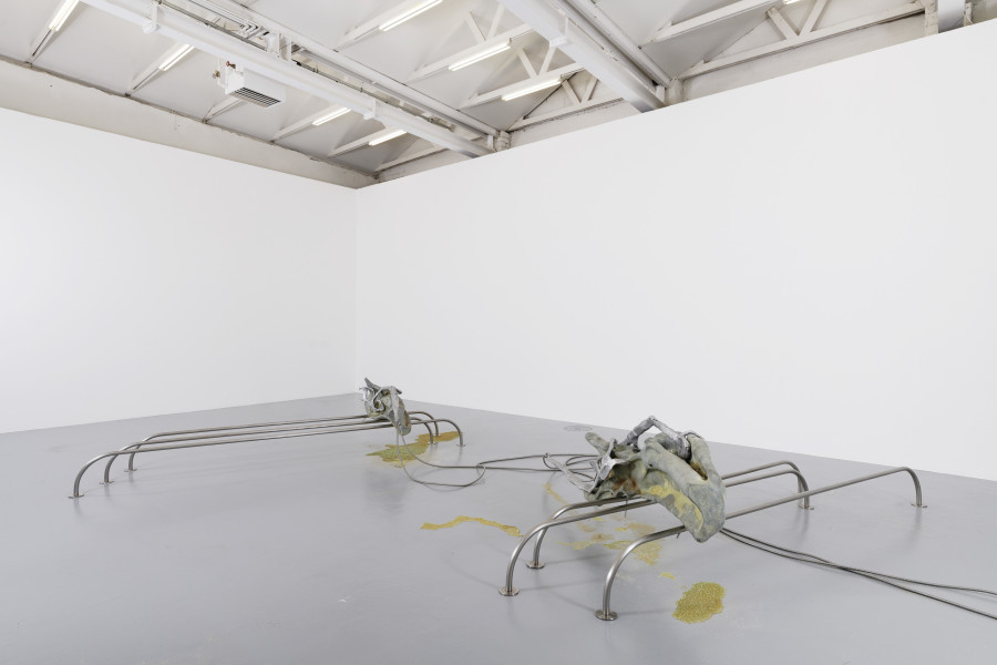 Exhibition view, Isabelle Andriessen, BUNK, CAN Centre d’art Neuchâtel, 2021. Photography: Aurélien Mole / all images copyright and courtesy of the artist and CAN Centre d’art Neuchâtel.