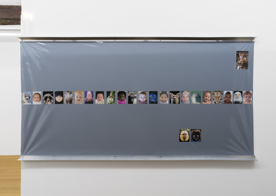 Tobias Hohn & Stanton Taylor, Babies & Animals, 2021, Inkjet Print, PVC, Alumimium, Candles / Photo: CE / Courtesy: the Artist and Kirchgasse Gallery