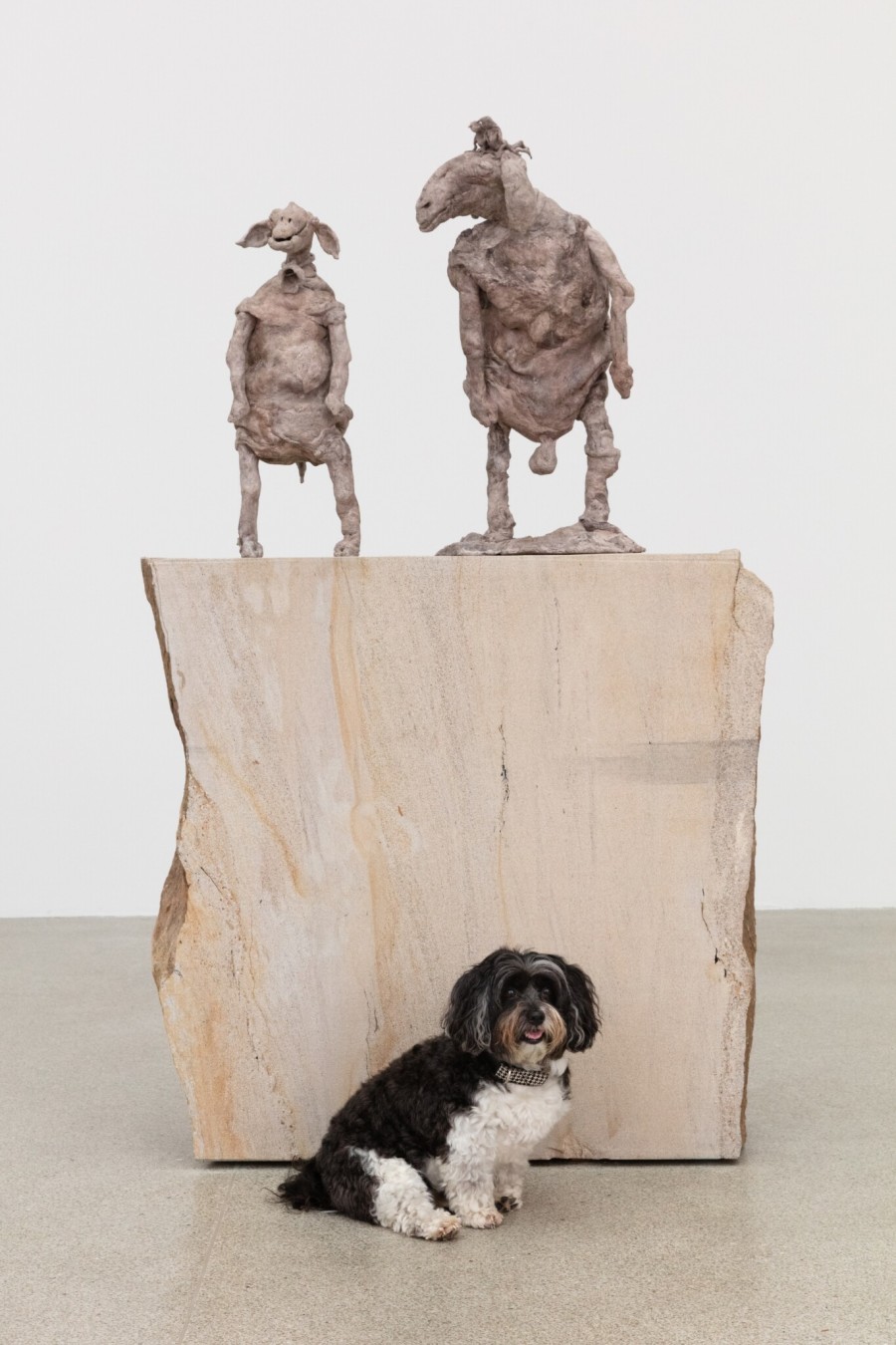 Francis Upritchard – A Loose Hold, Exhibition views Kunsthaus Centre d’art Pasquart 2022, Courtesy the artist and Kate MacGarry. Photos: Angus Mill