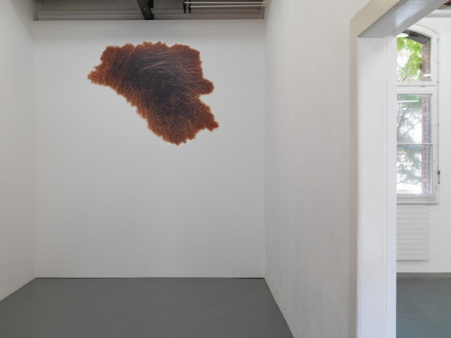 Installation view, Georgia Sagri, Case_L, Kunsthalle Friart Fribourg, 2022, Photo Stathis Mamalakis ©Georgia Sagri