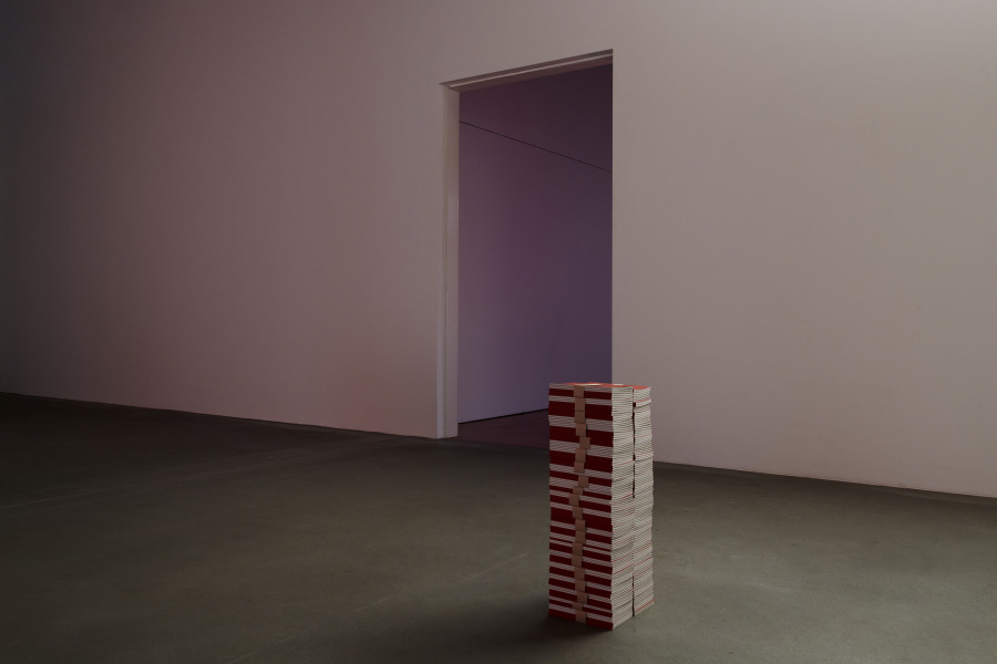Exhibition view, Ceylan Öztrük, Matter of non, Kunsthalle Friart Fribourg, 2021, Courtesy of Kunsthalle Friart Fribourg