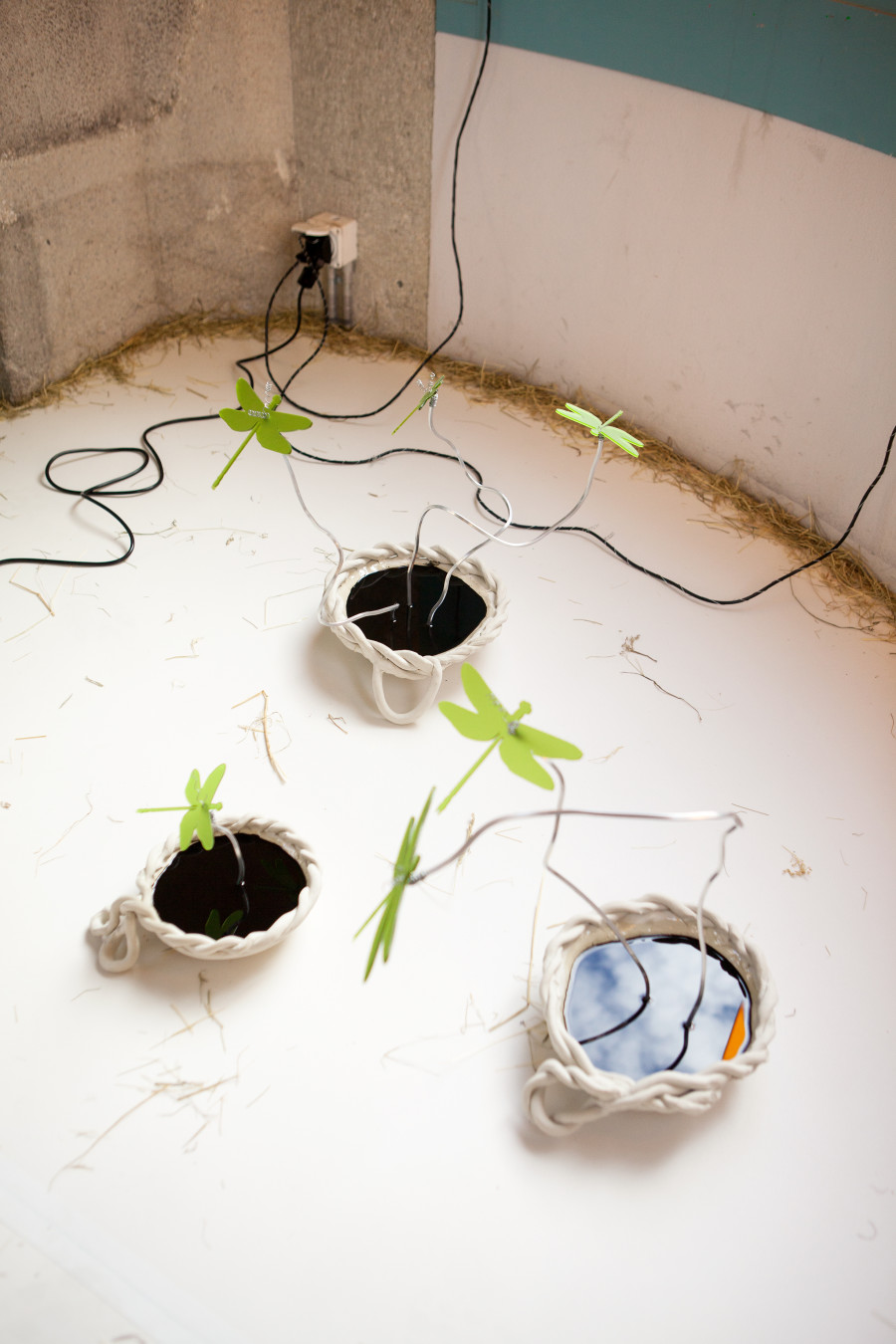 Doris Hardeman, Nothing more than ears of wheat, Zabriskie Point, 2021. Photo credit : Jerlyn Heinzen