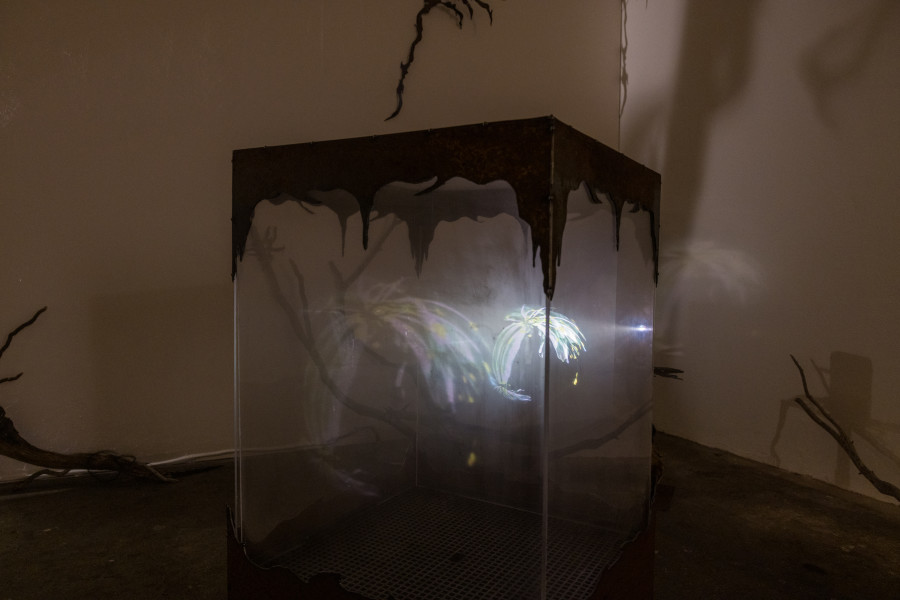 Yolane Rais, Boite à fumée, 2022/ Photo: Julie Folly / Courtesy: the artist and WallStreet