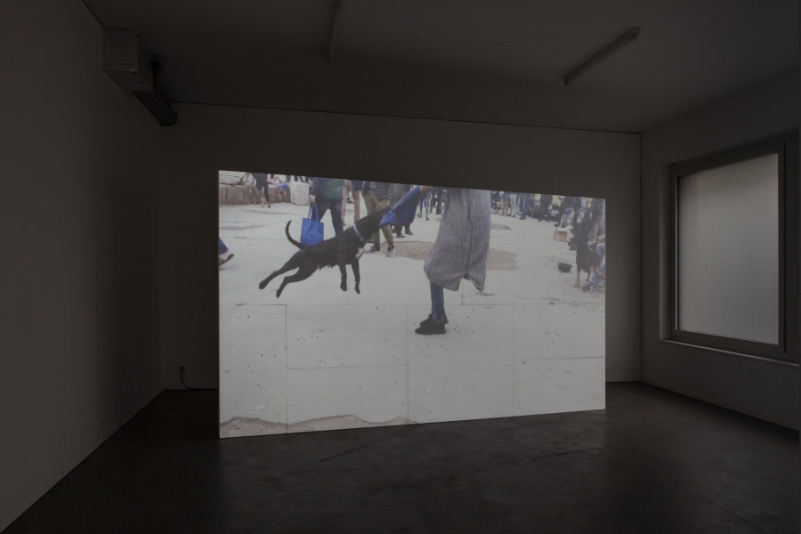 Exhibition view, d.e.d. world, 2022, HD video, color, sound, 16 secs (loop), projection on 14 Styrofoam panels, 2 x 3.5m, buttermilk on windows. Espace 3353, 2022. All credits to ©Anastasia Mityukova